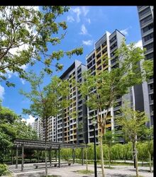 Blk 334C Anchorvale Cove (Sengkang), HDB 4 Rooms #578683531